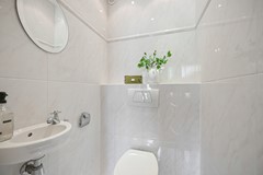 Tormentil 5 Castricum De Groot 24.JPG